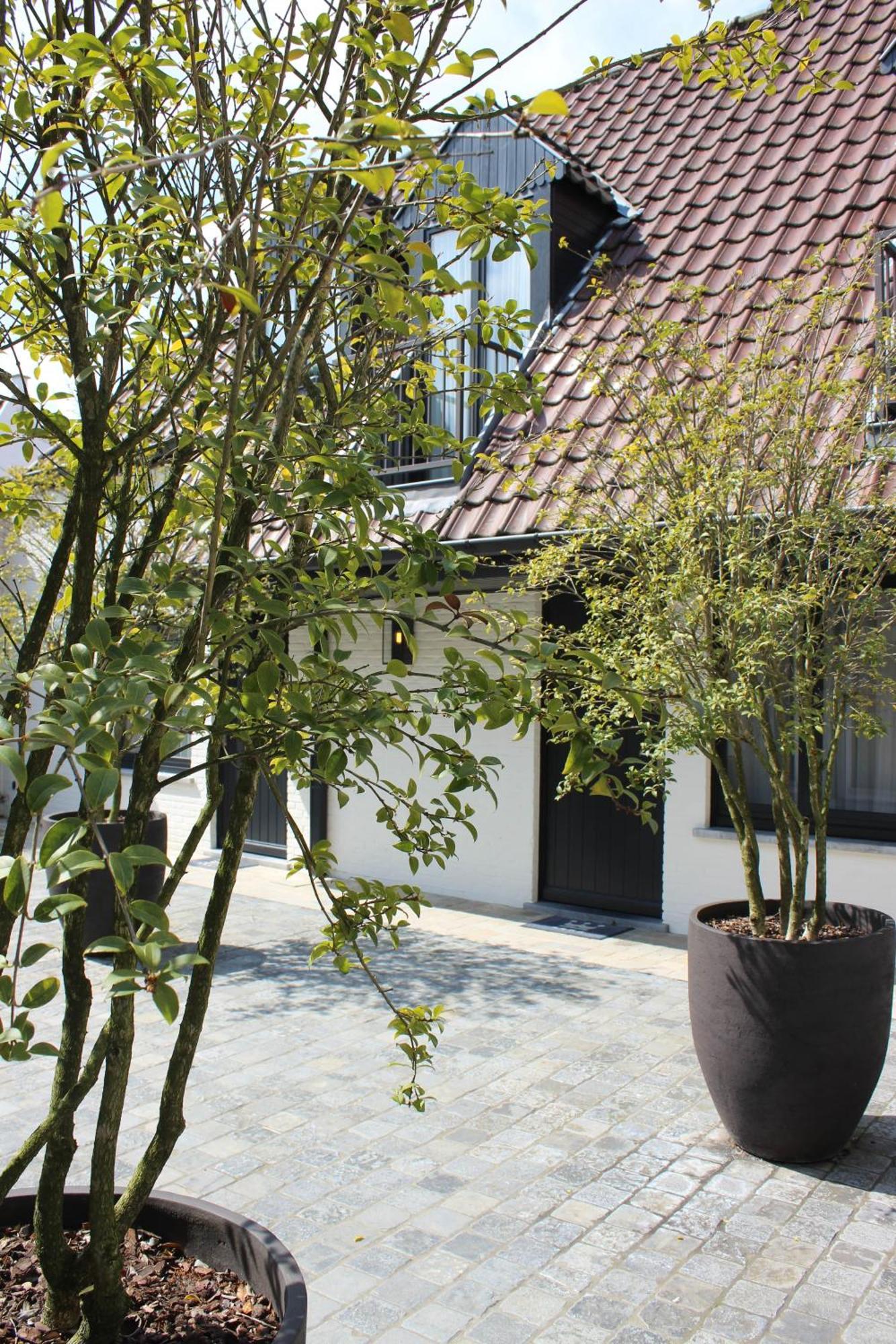 Dukes' Palace Residence - By Dukes' Hotel Collection Brugge Ngoại thất bức ảnh